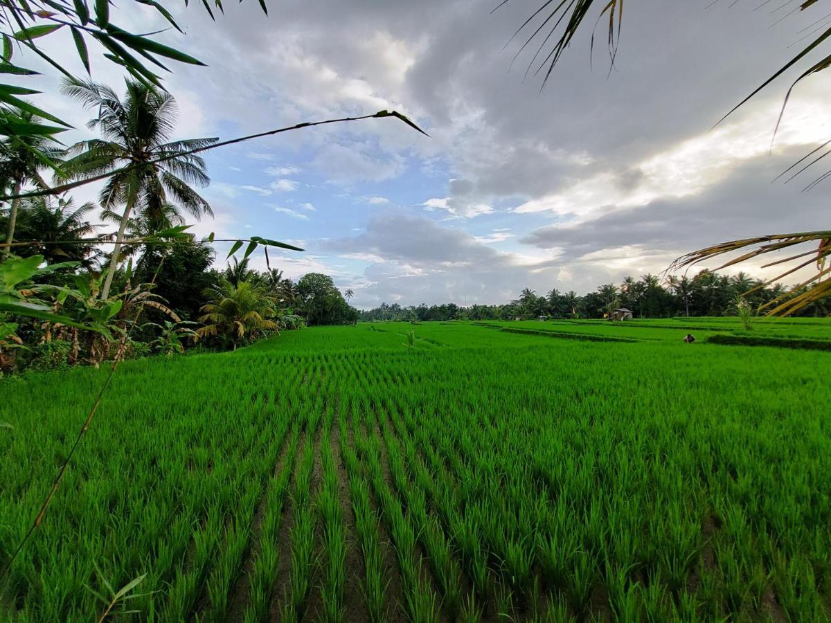 Shivananda Antique Villas By Eps Ubud  Exterior photo